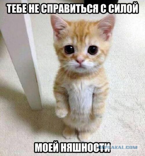 Cделал для себя, но может еще кому пригодится?