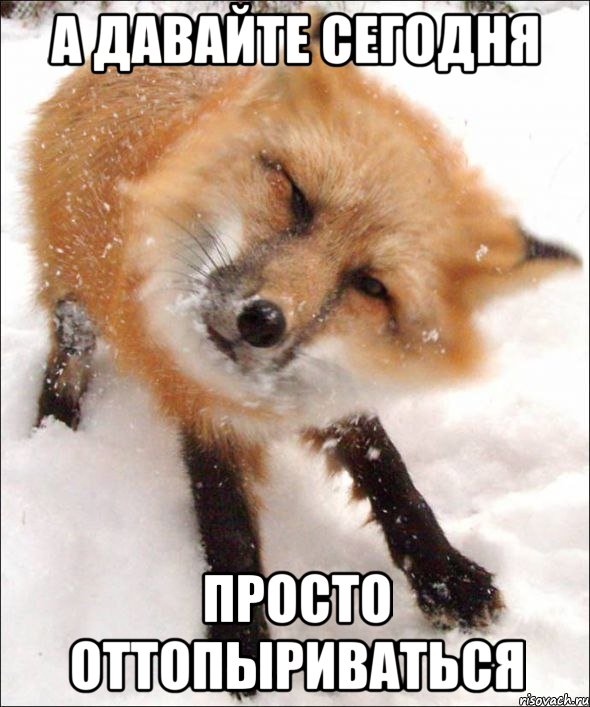 Пятница без политики!