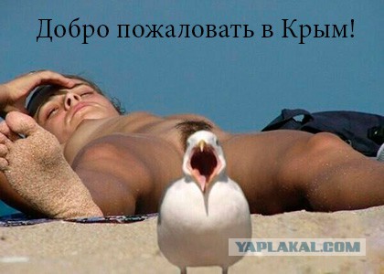Какая прелесть этот Крым