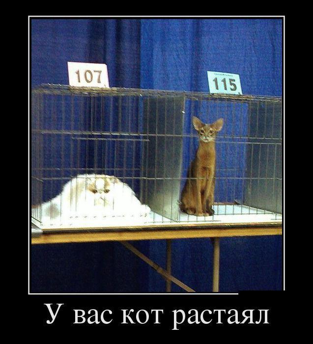 Демотиваторов пост, добавляйте свои