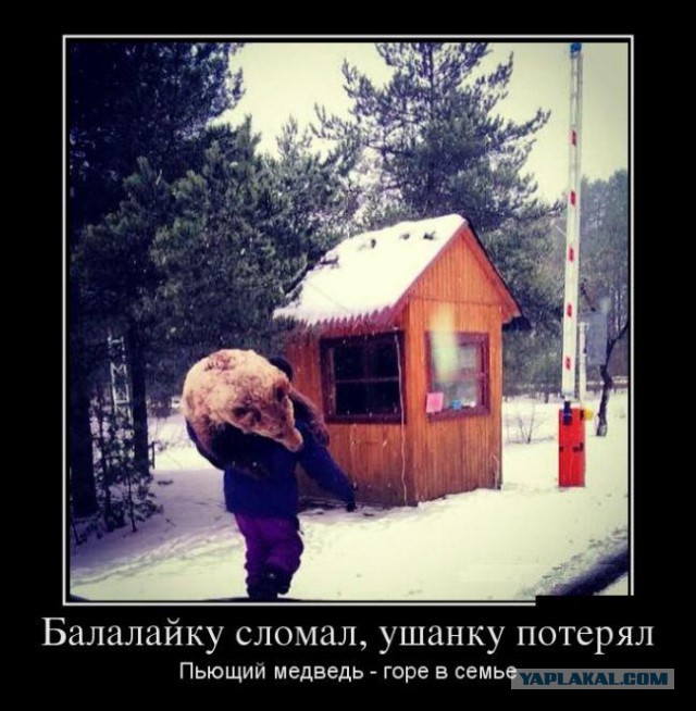 АДский Медведь!