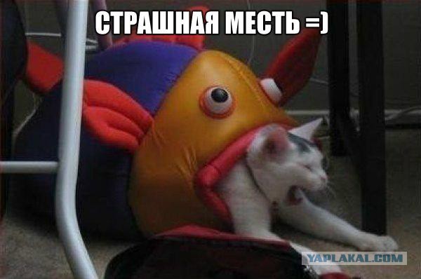 Картинки разные