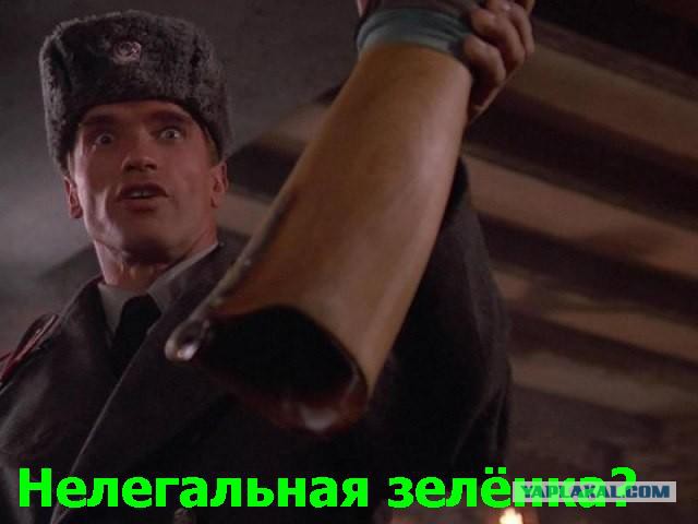 Когда кто-то плюсует твой заминусованый пост