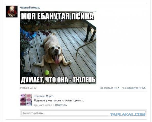 Смешные комментарии на 10.12.2015