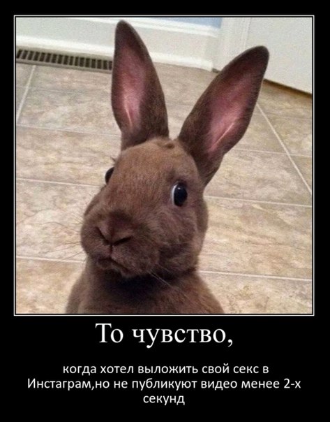 Подборка Картинок из сети