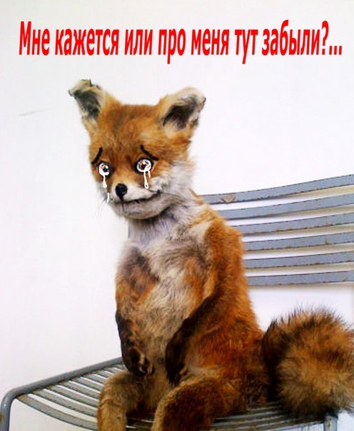 Игрушки, которые хочется приласкать.
