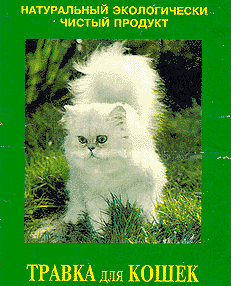 Народный креатив в вывесках, рекламах и пр.