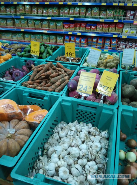 Жители Крыма рассказали о жизни после воссоединения с Россией