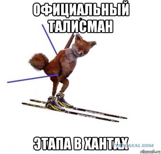 Биатлон сезон 2015/2016 Чемпионат мира. Продолжение.