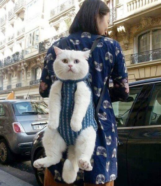 Подборка картинок из сети