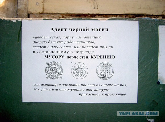 Как убить соседа, что продолжает срать?