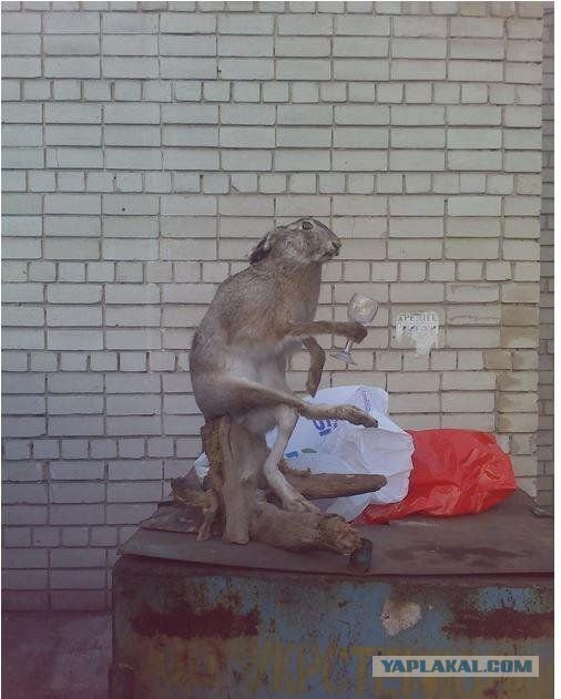 Клуб анонимных алкоголиков.