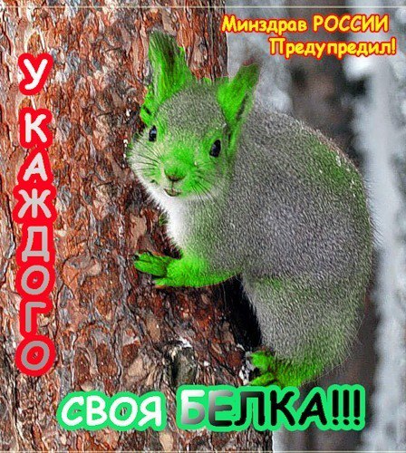 Всячина. Картинки и тексты картинками.
