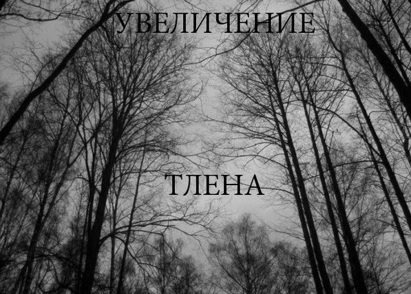 Мем картинка тлен