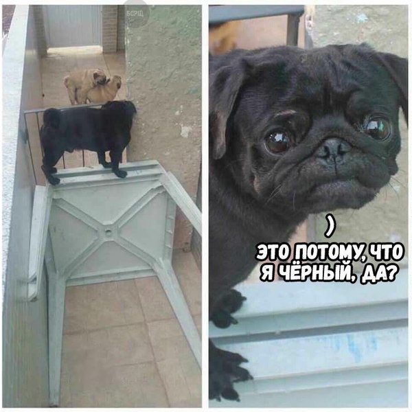 Тёмный юмор к этим выходным