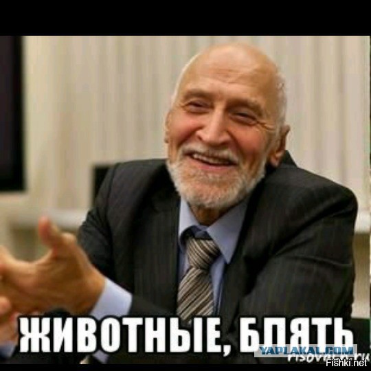 Девушка - друг