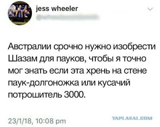 Подборка разного из сети