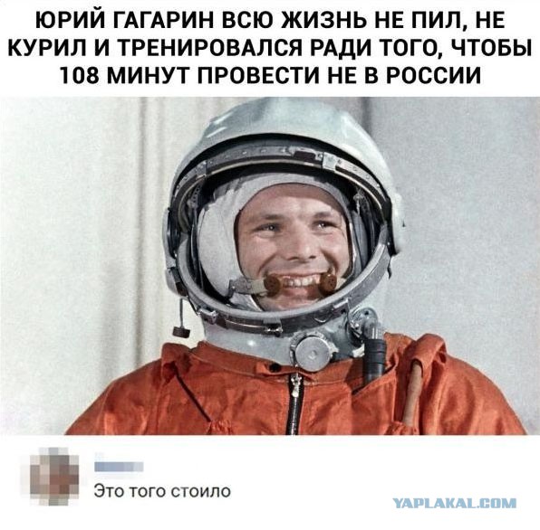 Сенатор внес законопроект об арестах за неуважение к власти в интернете