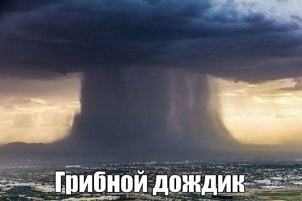 Подборка интересных и веселых картинок 16.04.19
