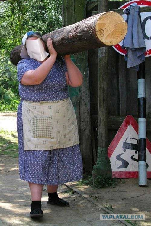 фотожаба: с бревном