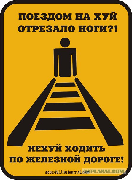 В Ленинградской области депутата-единоросса застали за кражей рельсов
