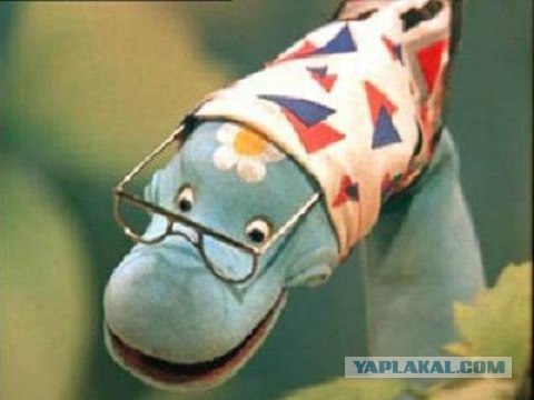 Верните носки!