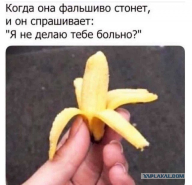 Бредзона 15.03.21