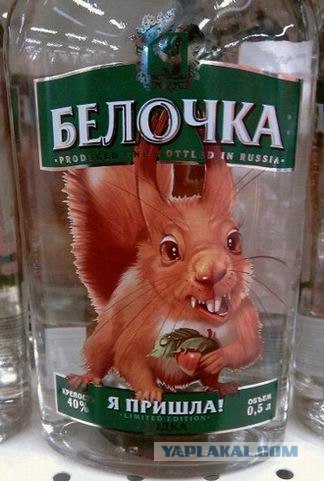 Бесстрашные белки