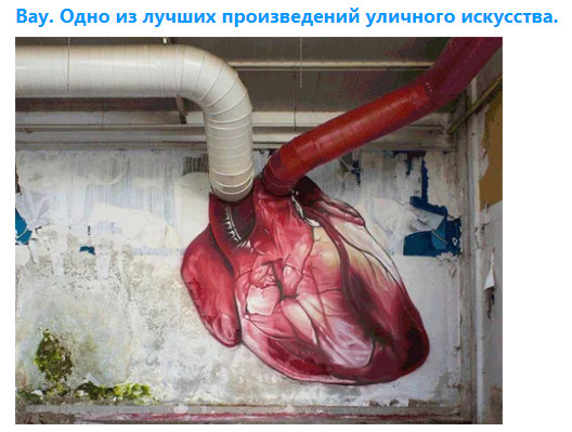 Насохранял