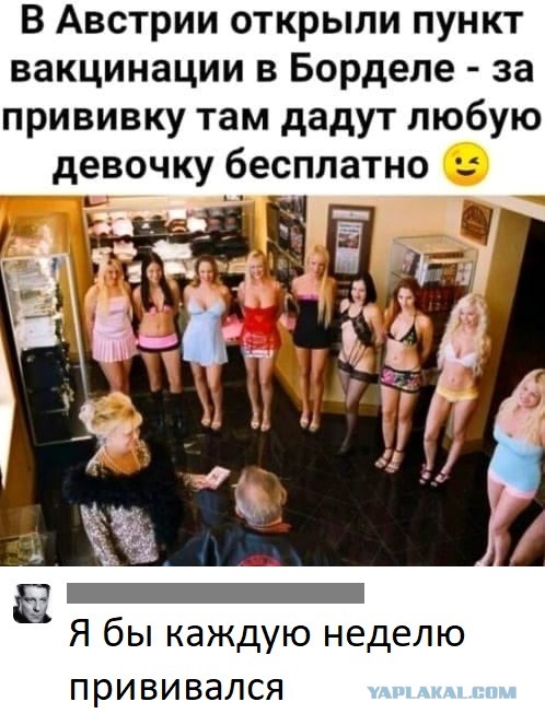 Всяческие картинки 15.12.2021