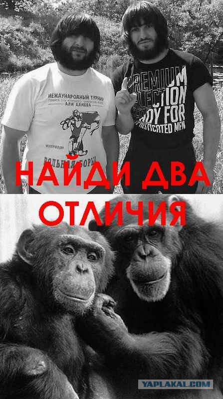 Дети гор