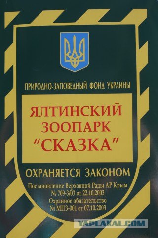 Крым. Евпатория, Ялта... да и вообще на машине