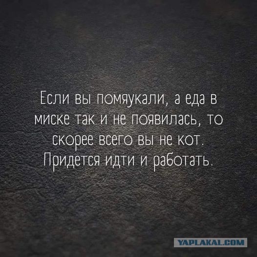 50 оттенков серого или самосвал баянов. Vol. 18. 50 штук.