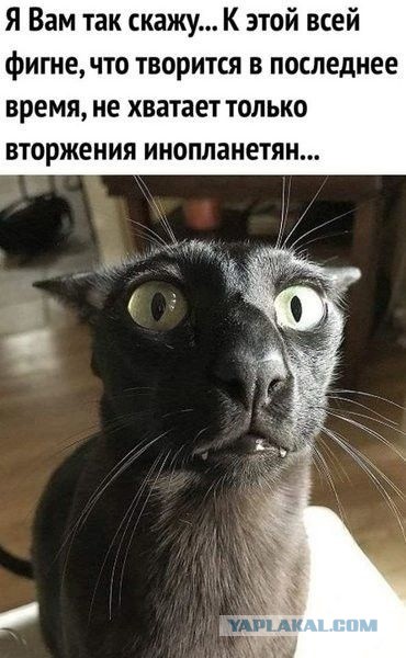 Так себе картинки 05.10.22