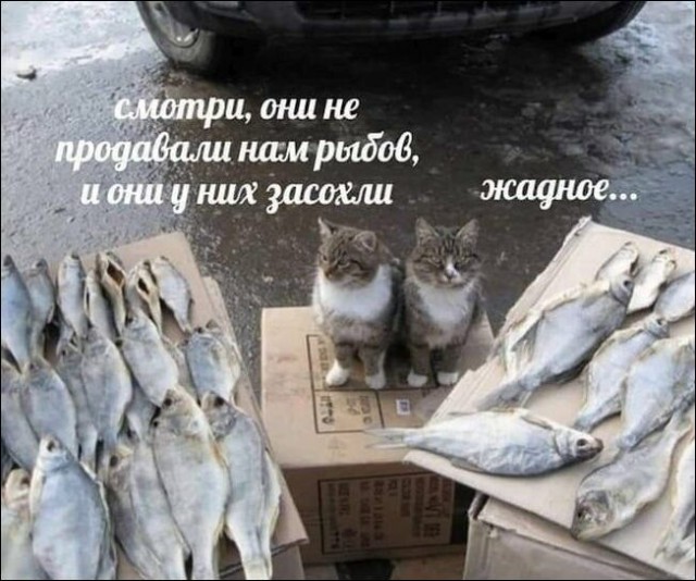 Немного картинок для настроения - 137