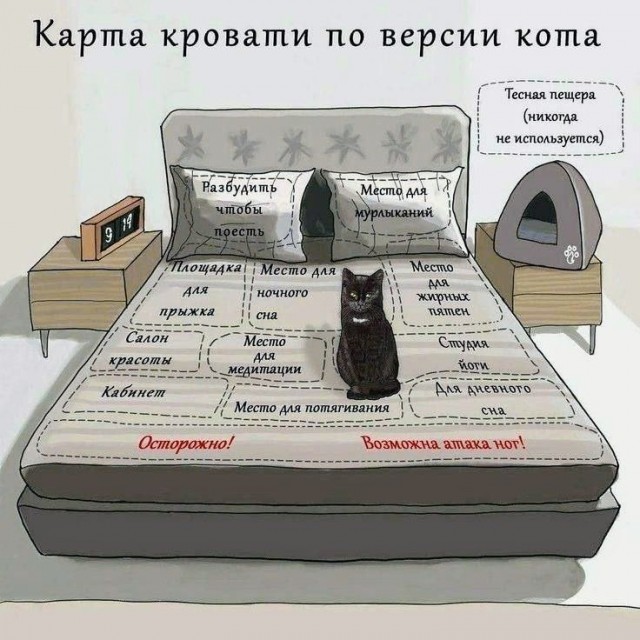 Картинки и мемы, это май-чародей всяко разно - 177