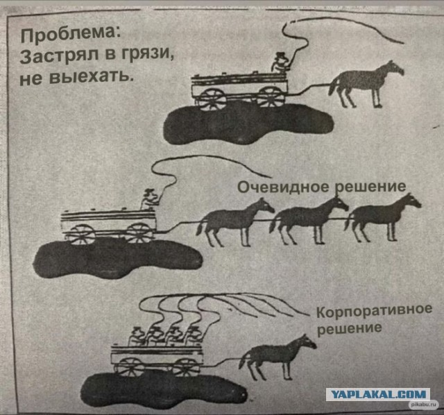 Рабочие ВСМПО-Ависма пожаловались Путину на «заезжих топ-менеджеров». Разница в доходах у них с ними – 77 раз