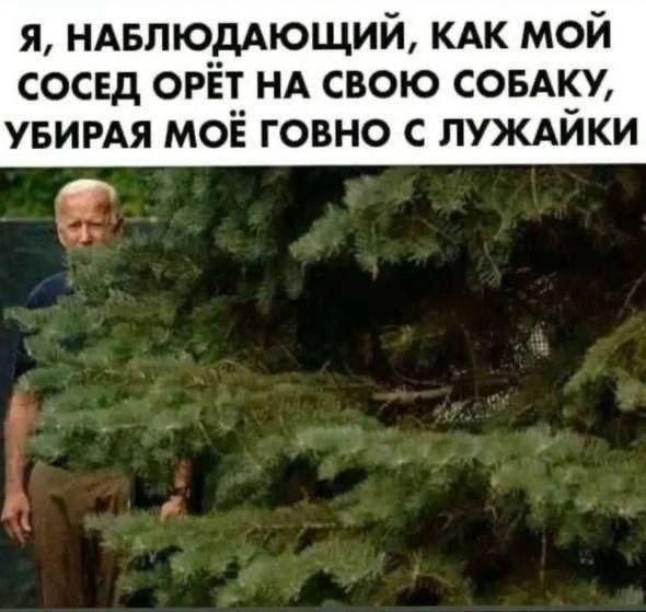 Картинки для деградации 89 (разной степени свежести)