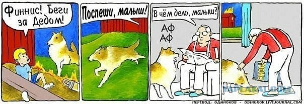 Картинки для деградации 105 (разной степени свежести)