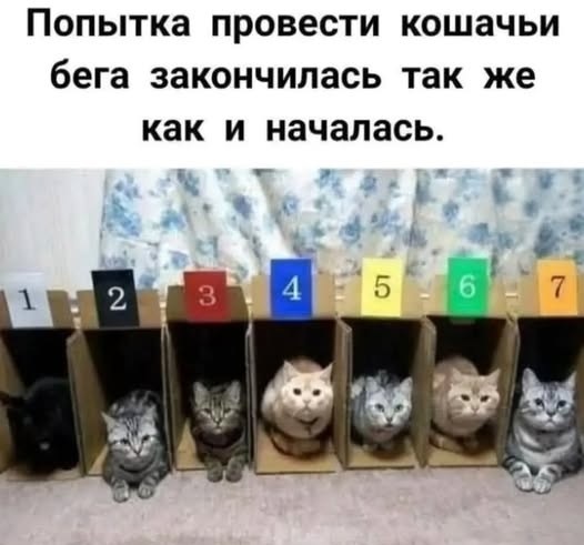 Чё тут делаете?