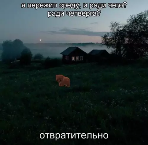 Картиночки, баянчики 13 февраля
