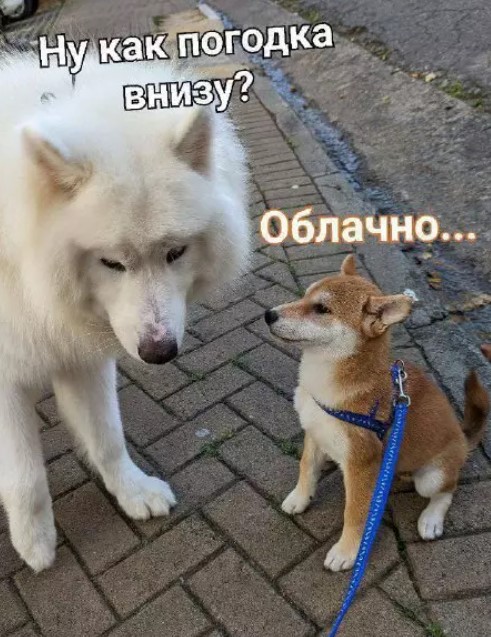 Картиночки, баянчики 16 марта
