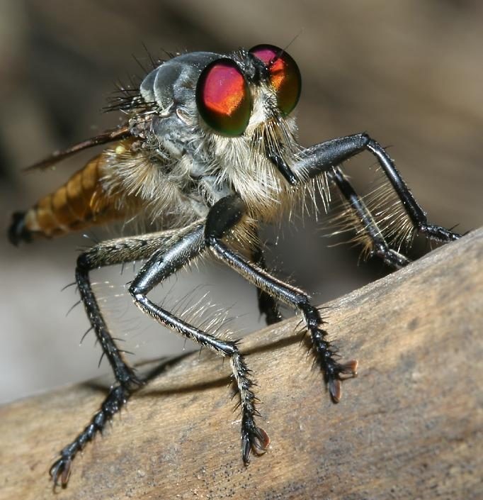 От этого убийцы не скроется никто