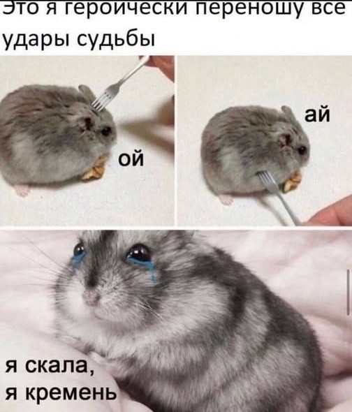 Картиночки, баянчики 04 апреля