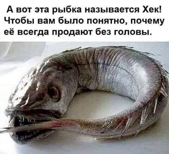 Картинки для деградации 290 (разной степени свежести)