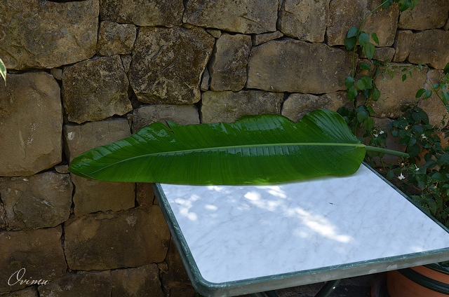 Кулинарная Испания . Записки отпускника.