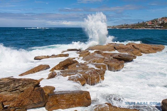 Австралия: Сидней и его окрестности