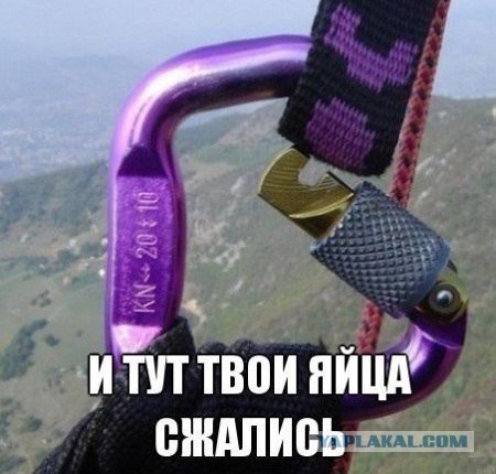 Капля позитива