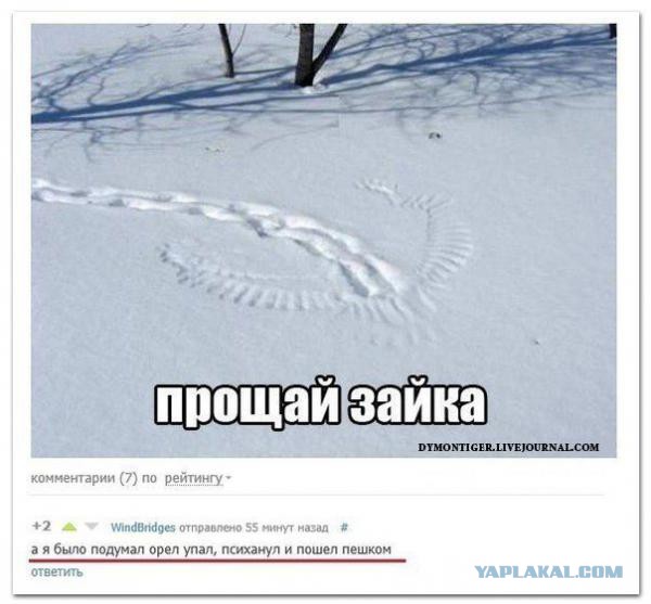 Комменты