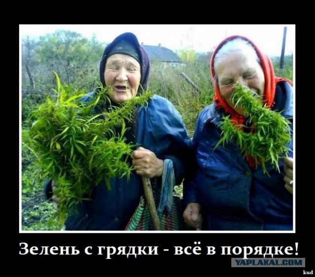 Плюсомет со шпалометом